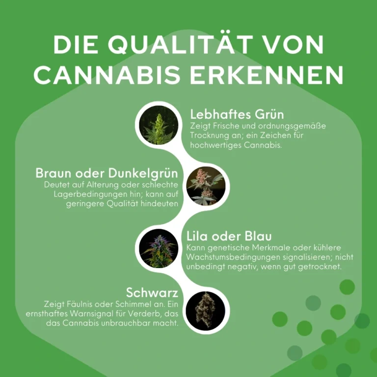 qualitaet von_cannabis erkennen