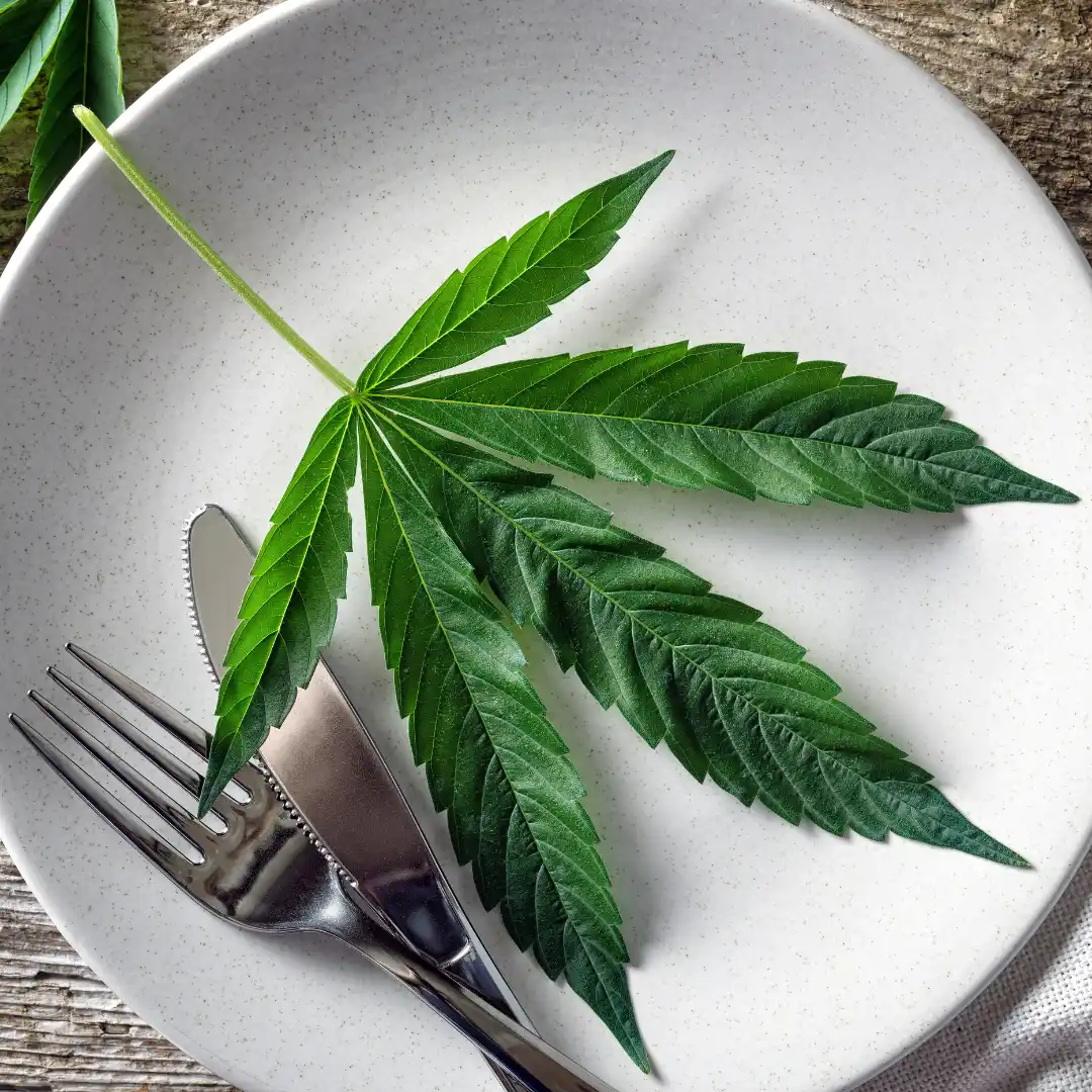 cannabis edibles wirkung