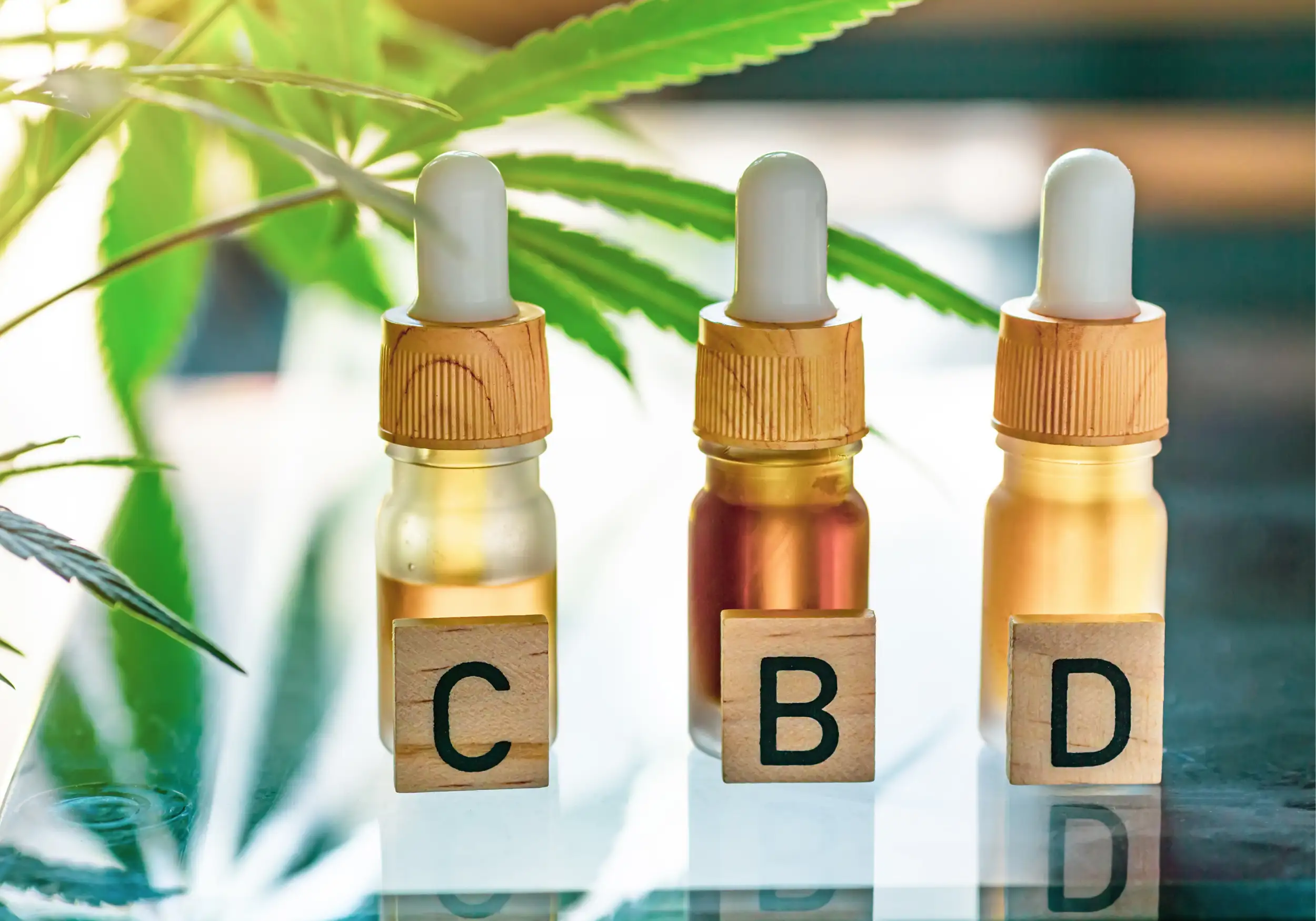 CBD Legal
